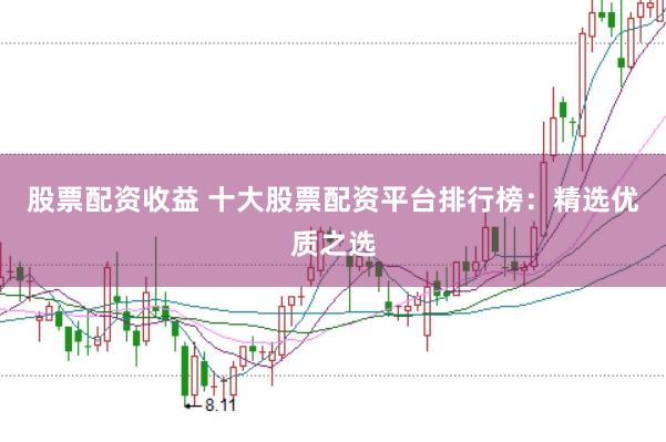 股票配资收益 十大股票配资平台排行榜：精选优质之选