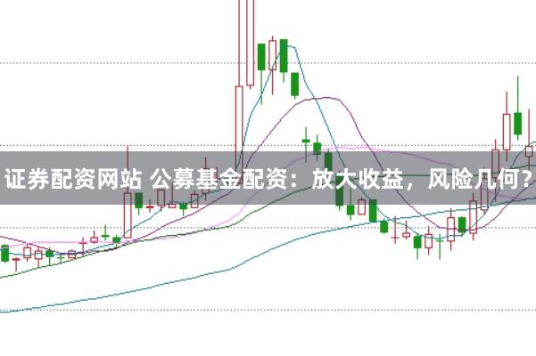 证券配资网站 公募基金配资：放大收益，风险几何？