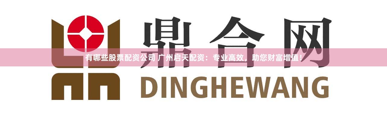 有哪些股票配资公司 广州启天配资：专业高效，助您财富增值！