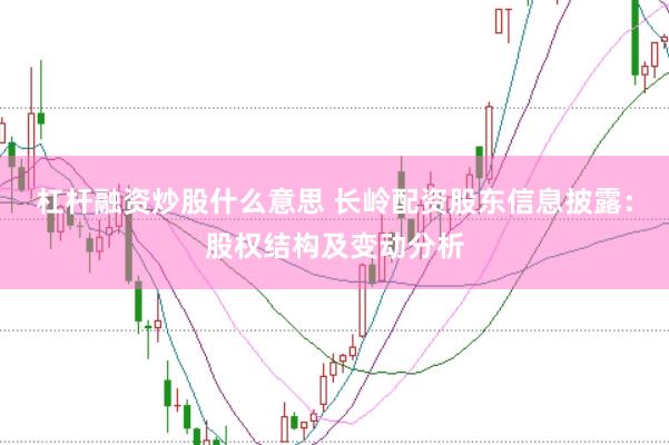 杠杆融资炒股什么意思 长岭配资股东信息披露：股权结构及变动分析