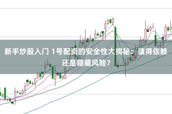 新手炒股入门 1号配资的安全性大揭秘：值得信赖还是暗藏风险？